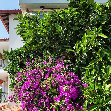 Xenios Loutra Village Mary'S House Агия Параскеви Екстериор снимка