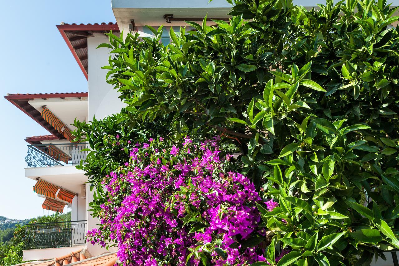 Xenios Loutra Village Mary'S House Агия Параскеви Екстериор снимка